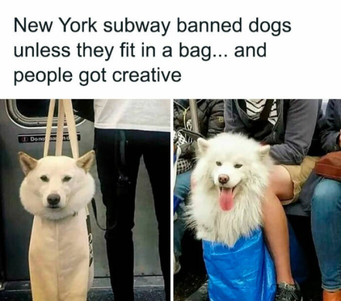 Rare Views of Earth’s Most Astonishing Sights Rare Views of Earth’s Most Astonishing Sights