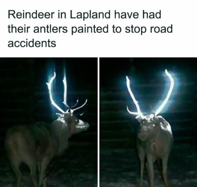 Rare Views of Earth’s Most Astonishing Sights Rare Views of Earth’s Most Astonishing Sights