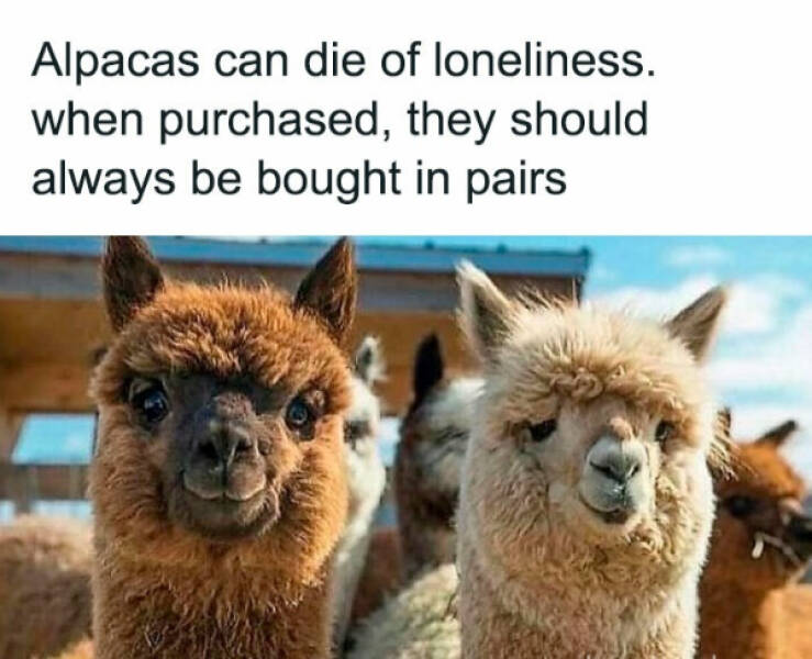 Rare Views of Earth’s Most Astonishing Sights Rare Views of Earth’s Most Astonishing Sights