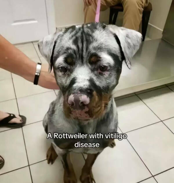 Rare Views of Earth’s Most Astonishing Sights Rare Views of Earth’s Most Astonishing Sights