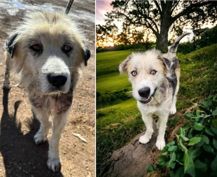 These Before And After Adoption Photos Show Pure Love