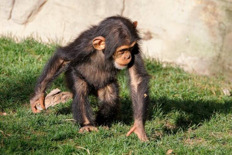 TIL Moments That Will Surprise You