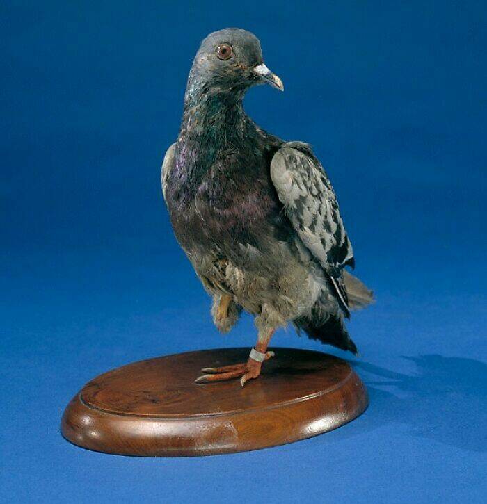 TIL Moments That Will Surprise You