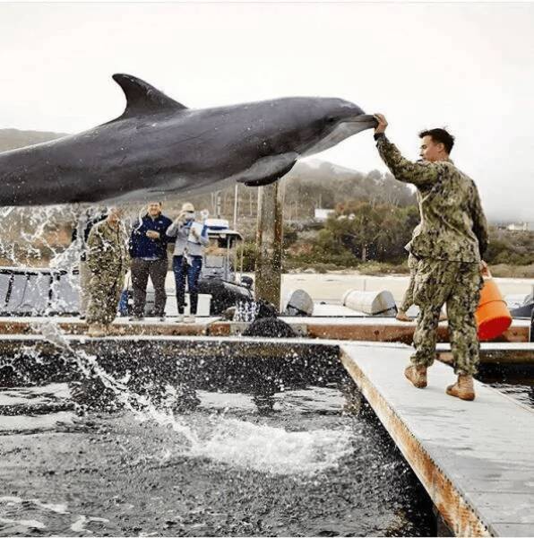 Totally Random Things That’ll Make You Smile
