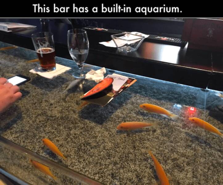 Totally Random Things That’ll Make You Smile Totally Random Things That’ll Make You Smile