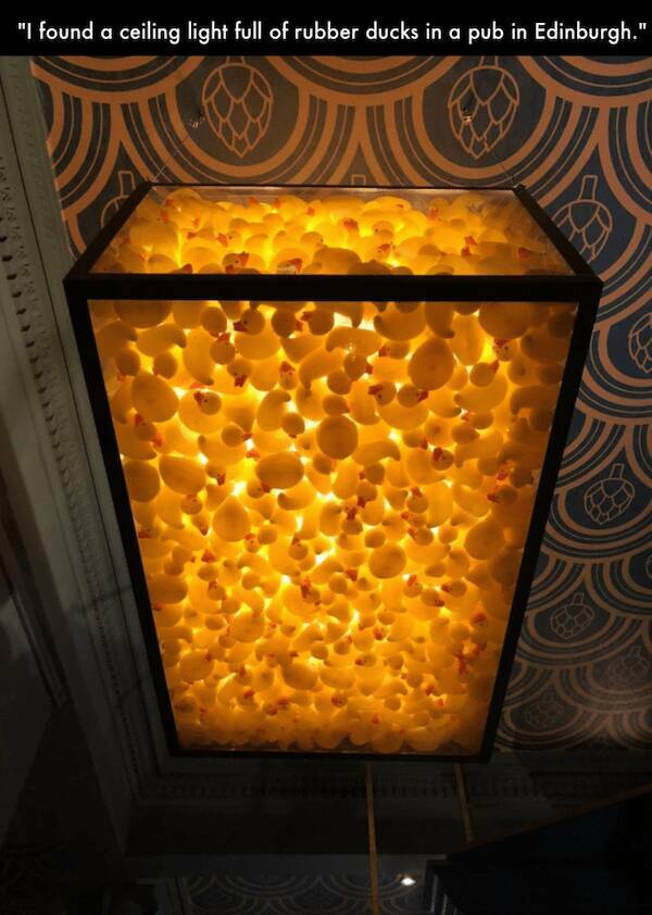 Totally Random Things That’ll Make You Smile Totally Random Things That’ll Make You Smile