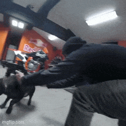 Daily Gifdump Daily Gifdump