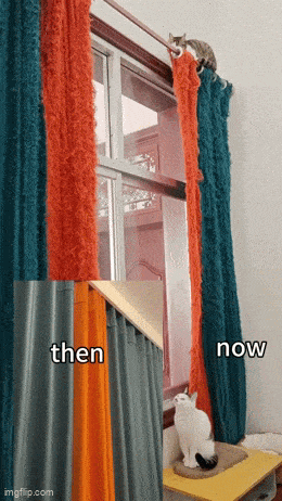 Daily Gifdump Daily Gifdump