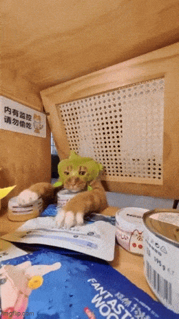 Daily Gifdump Daily Gifdump