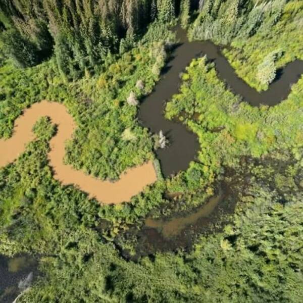 Hidden Wonders Of Nature That Feel Almost Too Magical To Be Real