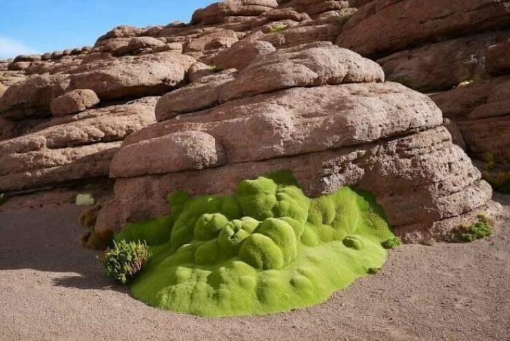 Hidden Wonders Of Nature That Feel Almost Too Magical To Be Real