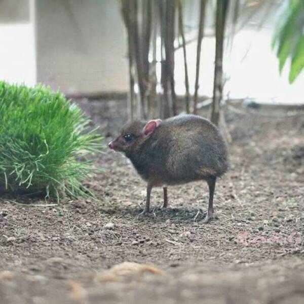 Hidden Wonders Of Nature That Feel Almost Too Magical To Be Real