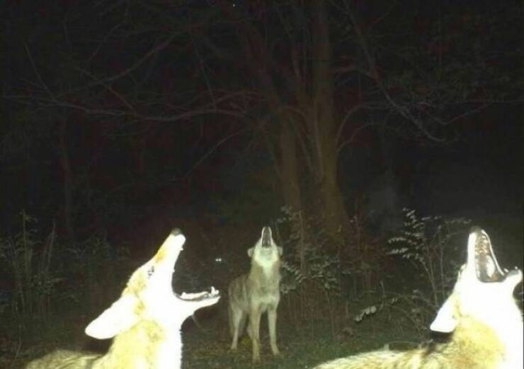 Hidden Wonders Of Nature That Feel Almost Too Magical To Be Real