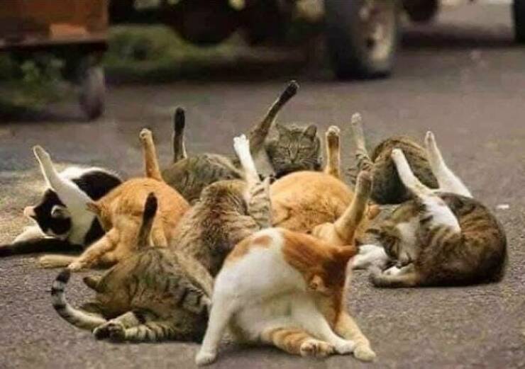 Hidden Wonders Of Nature That Feel Almost Too Magical To Be Real