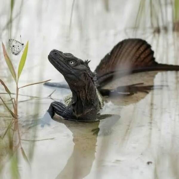 Hidden Wonders Of Nature That Feel Almost Too Magical To Be Real