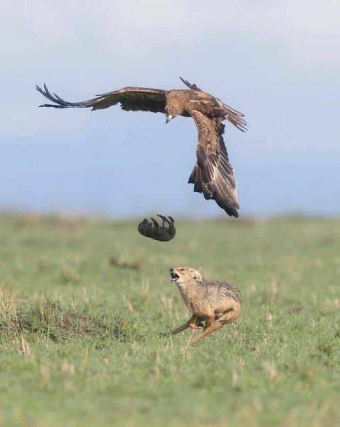 Hidden Wonders Of Nature That Feel Almost Too Magical To Be Real