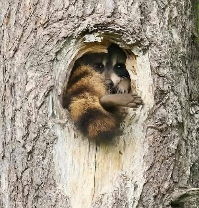 Hidden Wonders Of Nature That Feel Almost Too Magical To Be Real