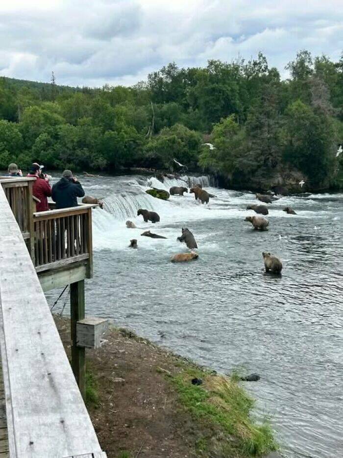Hidden Wonders Of Nature That Feel Almost Too Magical To Be Real