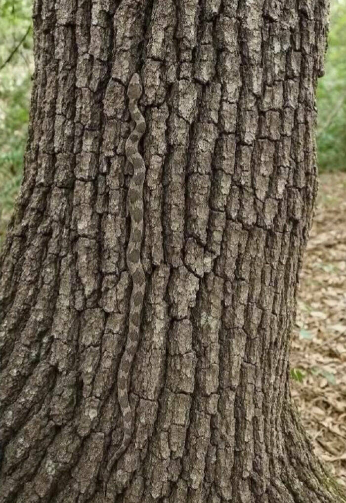 Hidden Wonders Of Nature That Feel Almost Too Magical To Be Real