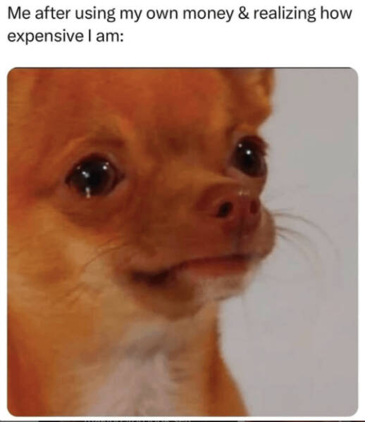 Pay Bills, Drink Coffee, Repeat