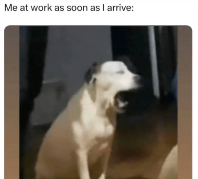 Pay Bills, Drink Coffee, Repeat