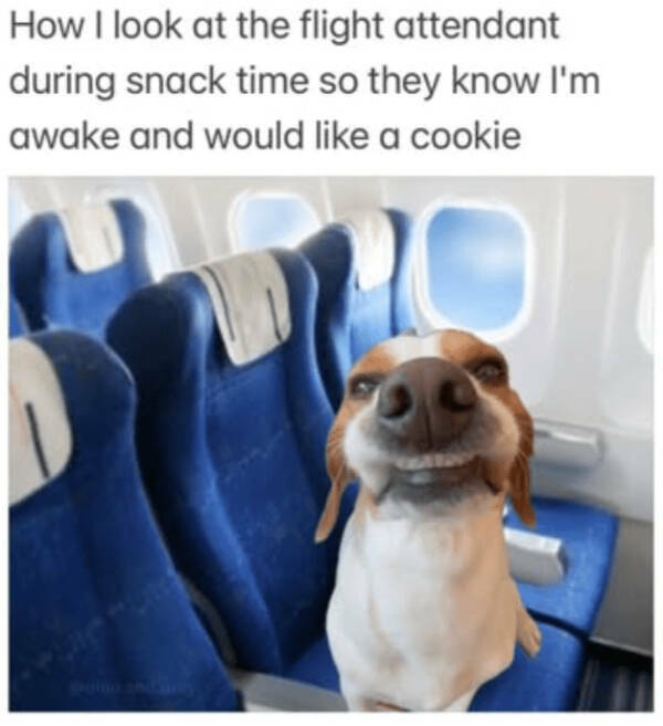 Pay Bills, Drink Coffee, Repeat