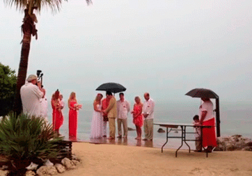 These GIFs Take A Wild Turn These GIFs Take A Wild Turn