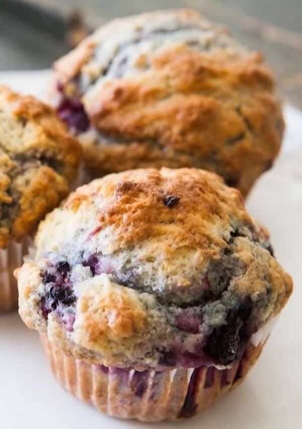 We Think Food, We Live Food