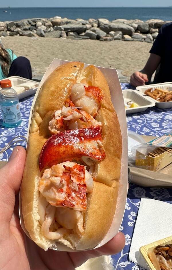 We Think Food, We Live Food