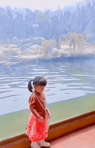 These GIFs Take A Wild Turn