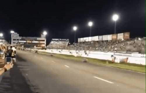 These GIFs Take A Wild Turn