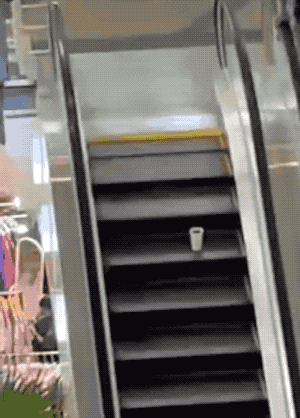 These GIFs Take A Wild Turn