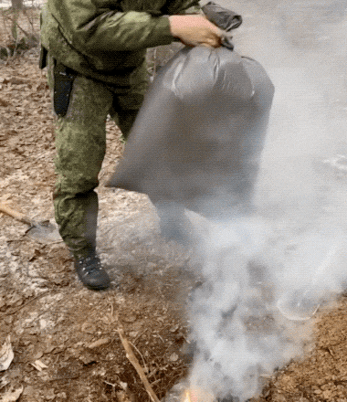 These GIFs Take A Wild Turn These GIFs Take A Wild Turn