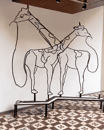 These GIFs Take A Wild Turn These GIFs Take A Wild Turn