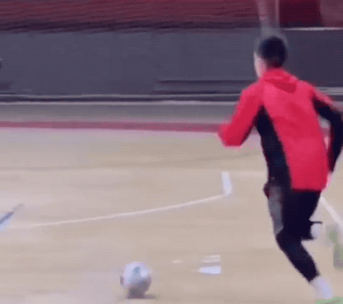 These GIFs Take A Wild Turn These GIFs Take A Wild Turn