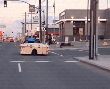 These GIFs Take A Wild Turn These GIFs Take A Wild Turn