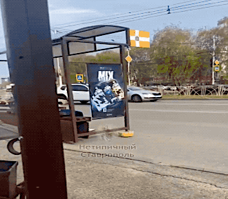 These GIFs Take A Wild Turn These GIFs Take A Wild Turn