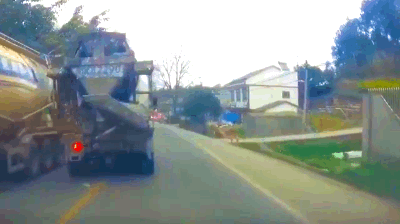 These GIFs Take A Wild Turn These GIFs Take A Wild Turn