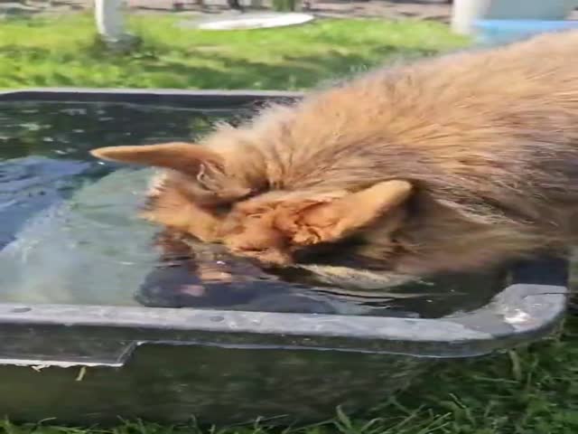 Believed In Him More Than In Myself