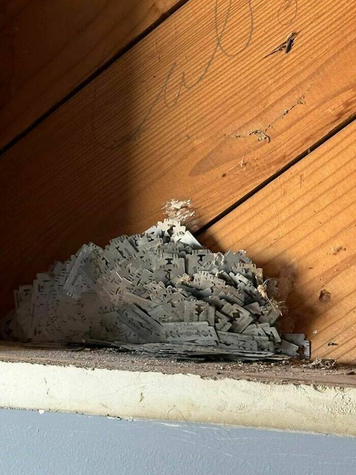 Creepy Things People Found At Home That Shouldn’t Be There