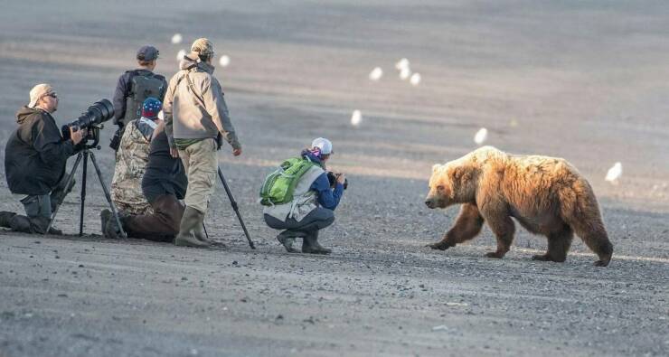 Morning Picdump Morning Picdump