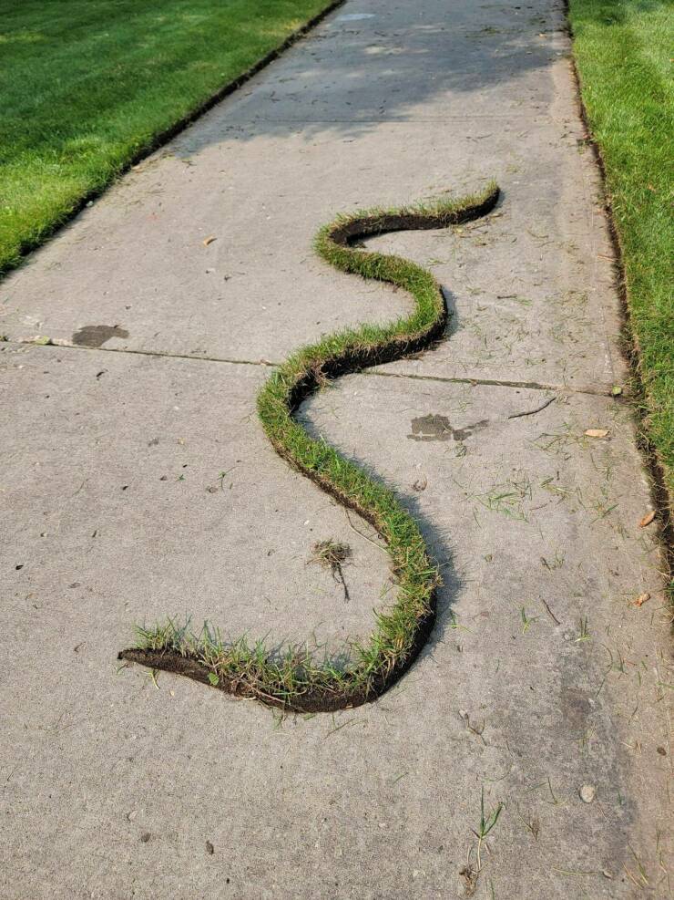 Morning Picdump Morning Picdump