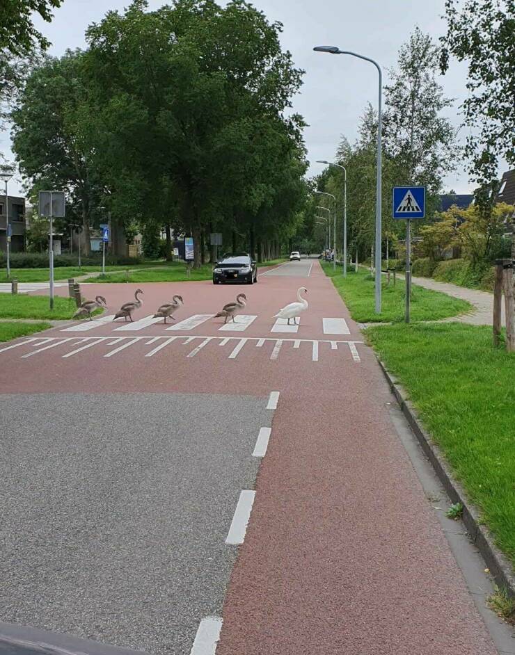 Morning Picdump Morning Picdump