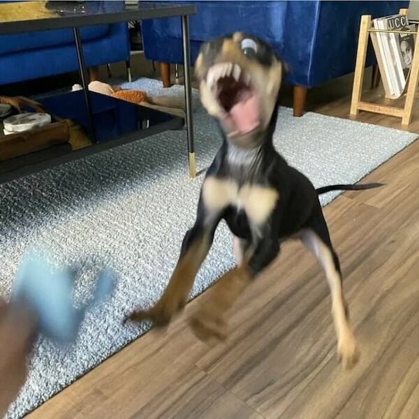 Well, That Escalated Quickly…