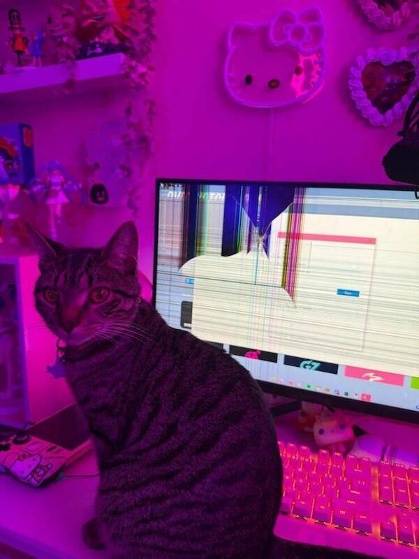 Well, That Escalated Quickly…