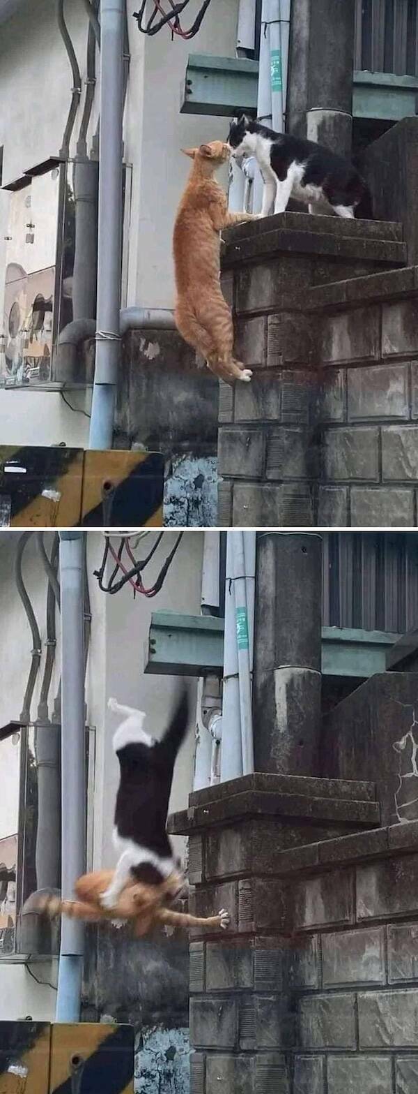 Well, That Escalated Quickly…