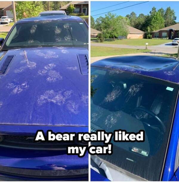 Well, That Escalated Quickly…