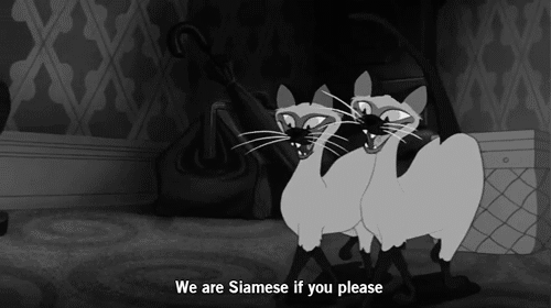 Supposed To Be Fun, But Gave Us Nightmares