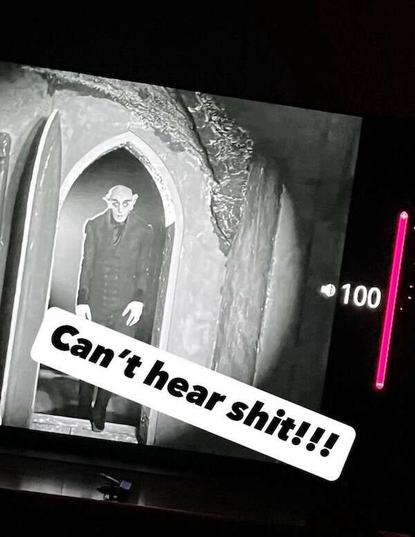 Cinematic Gold Meets Internet Chaos Cinematic Gold Meets Internet Chaos