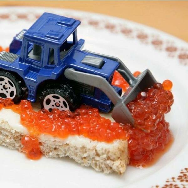 Morning Picdump